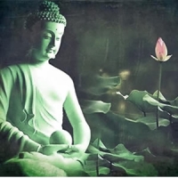 Phật Pháp Ứng Dụng